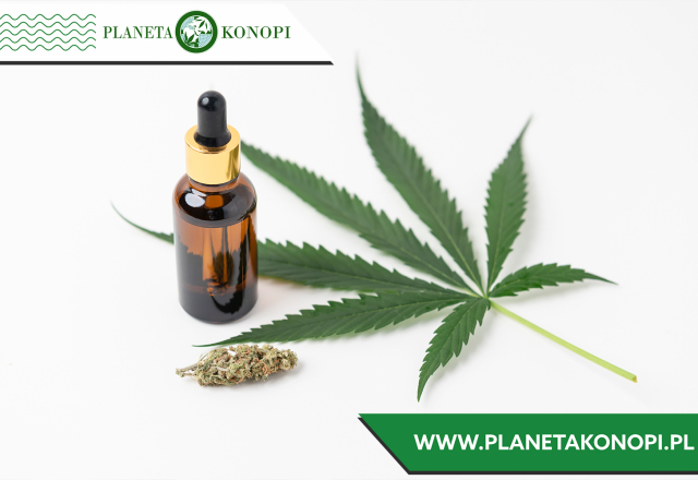 Olejek CBD na stres w pracy – naturalna ulga dla zabieganych