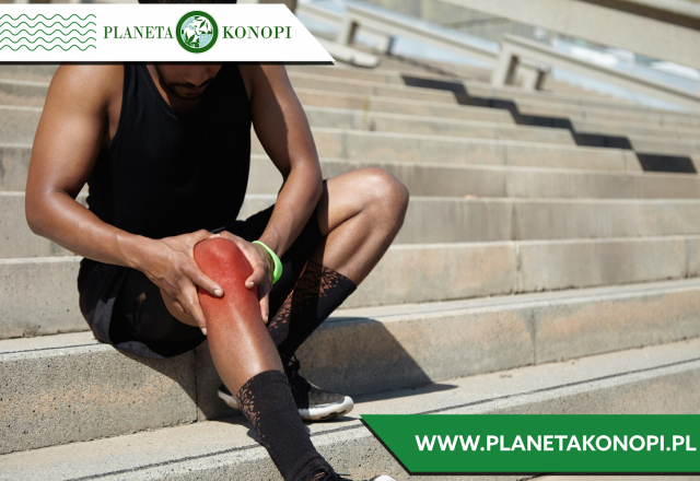 Olej CBD na ból stawów – naturalna ulga bez skutków ubocznych?