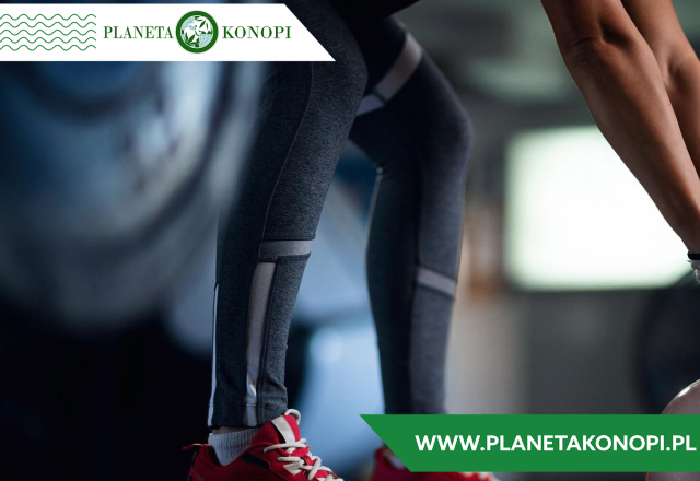 Konopie i sport – regeneracja i wsparcie treningu