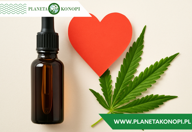 CBD a zdrowie serca – co mówią badania?
