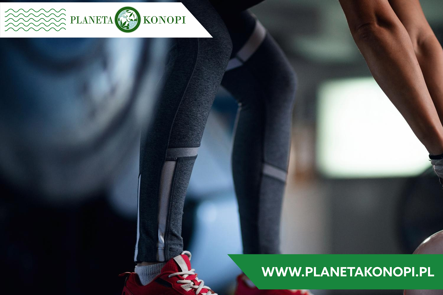 Konopie i sport – regeneracja i wsparcie treningu