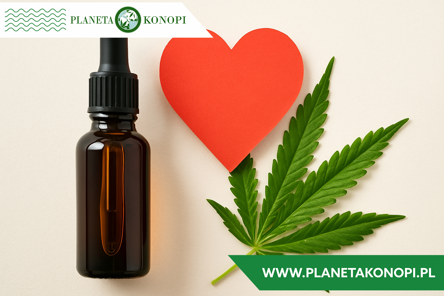 CBD a zdrowie serca – co mówią badania?